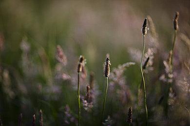 维塔士招聘广告视频 暗示开发《合金装备》游戏
